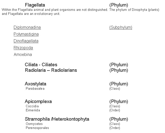 Chlorophyta Green Algae Are Considered Protists